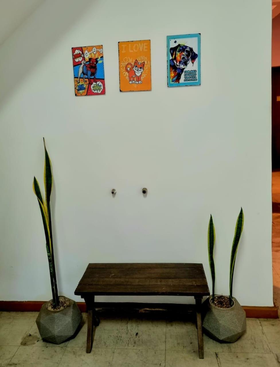 Cool Living Hostel - Praca Da Liberdade Μπέλο Οριζόντε Εξωτερικό φωτογραφία